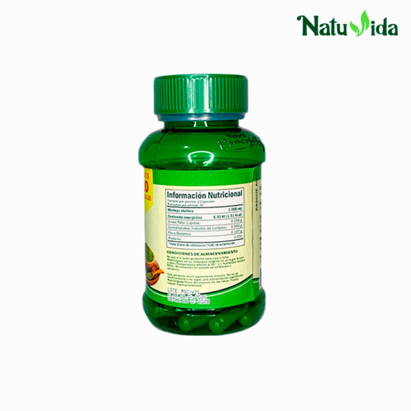 Moringa Oleifera