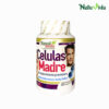 Células Madre Capsulas