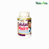 Células Madre Capsulas
