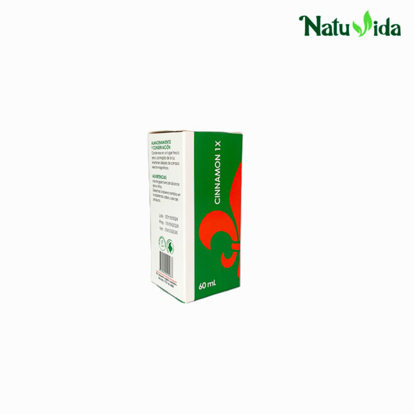 2 CINAMON Cinnamon 1X