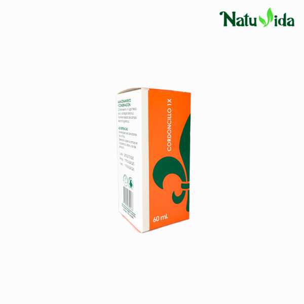 2 CORDONCILLO Cordoncillo 1X