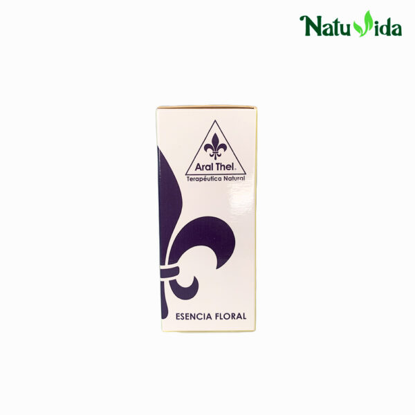 2 MEMORAN Memorán Coco