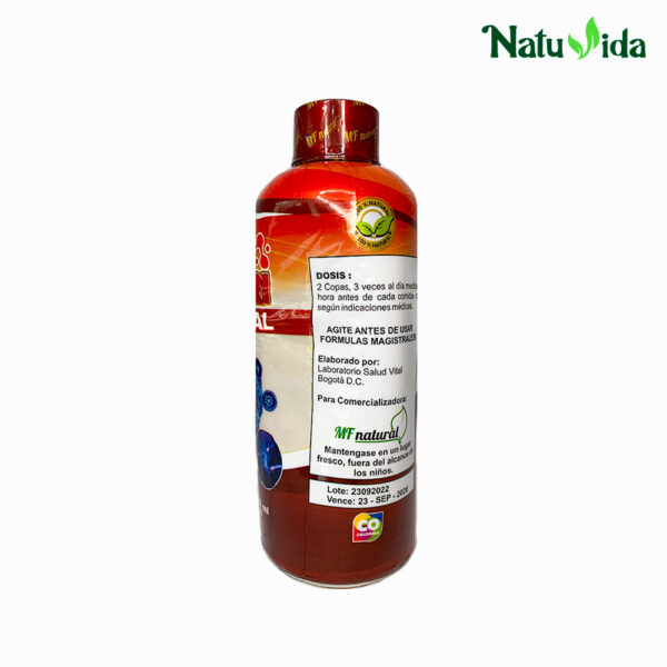 Vino Nutri Cerebral
