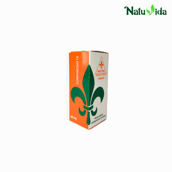 3 CORDONCILLO Cordoncillo 1X