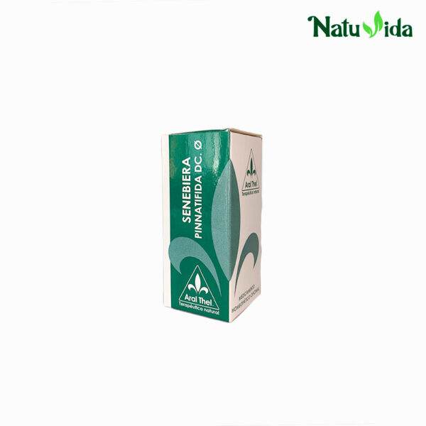 3 SENEBIERA Senebiera Pinnatifida DC