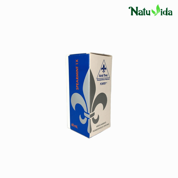 3 SPERMINT Spearmint 1X