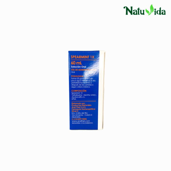 4 SPERMINT Spearmint 1X