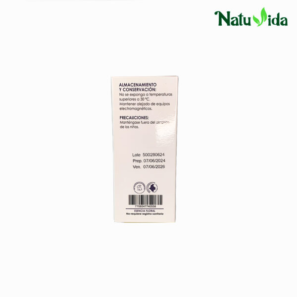 5 MEMORAN Memorán Coco