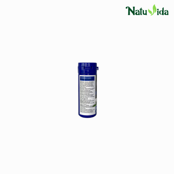 Blueberry Candy – Dulces de Arándano HGW