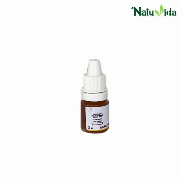 Miel Angelita en Gotas - 5ml (Salud Visual y Cataratas)