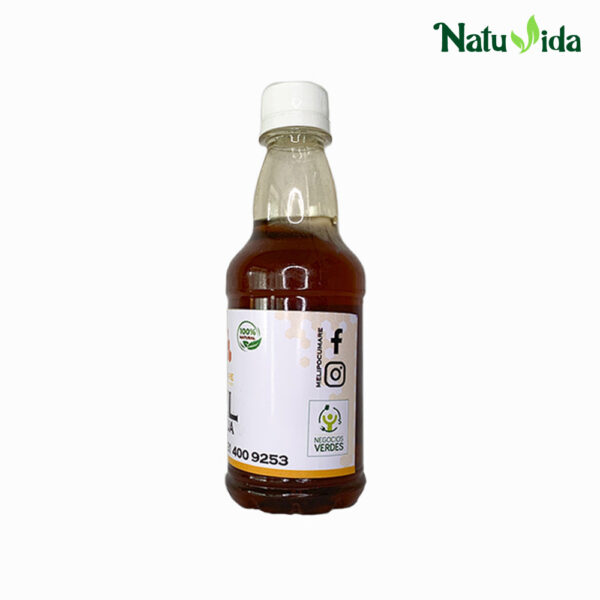Miel de Abejas Orgánica - Frasco 500 gr